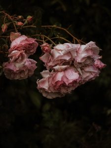 记这-牧之笔记 - 世界不应有局限